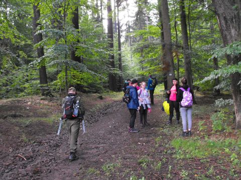 Wycieczka w Góry Stołowe s14 - PTTK Strzelin