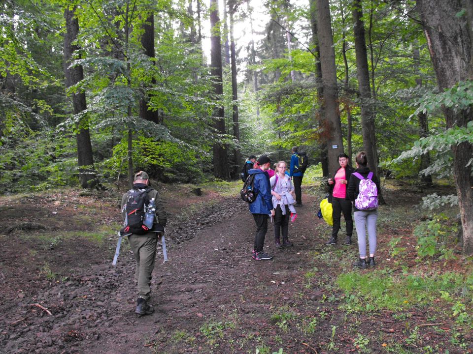 Wycieczka w Góry Stołowe s003 - PTTK Strzelin