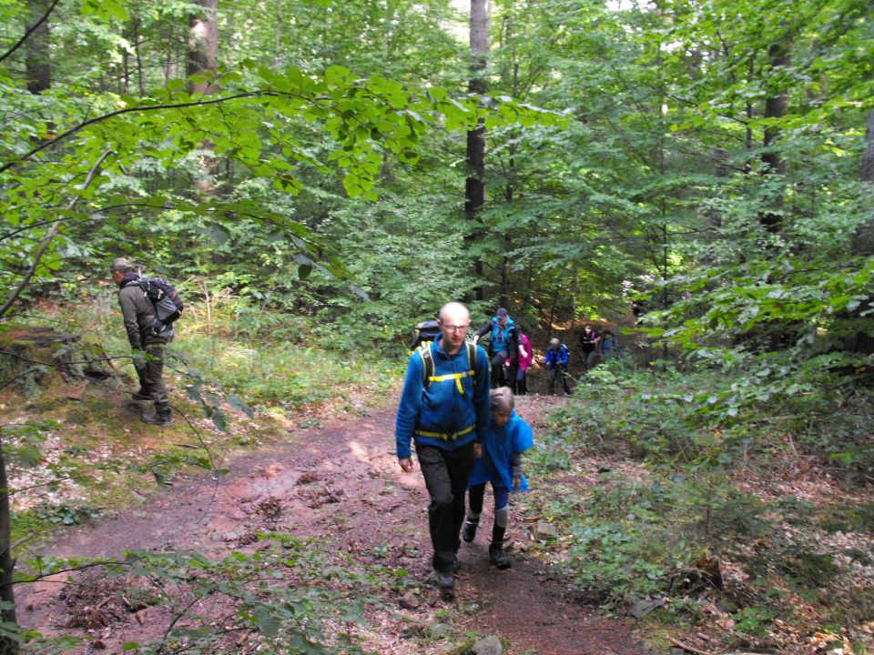 Wycieczka w Góry Stołowe s003 - PTTK Strzelin