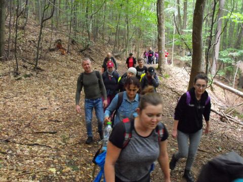 Wycieczka w Góry Stołowe s17 - PTTK Strzelin