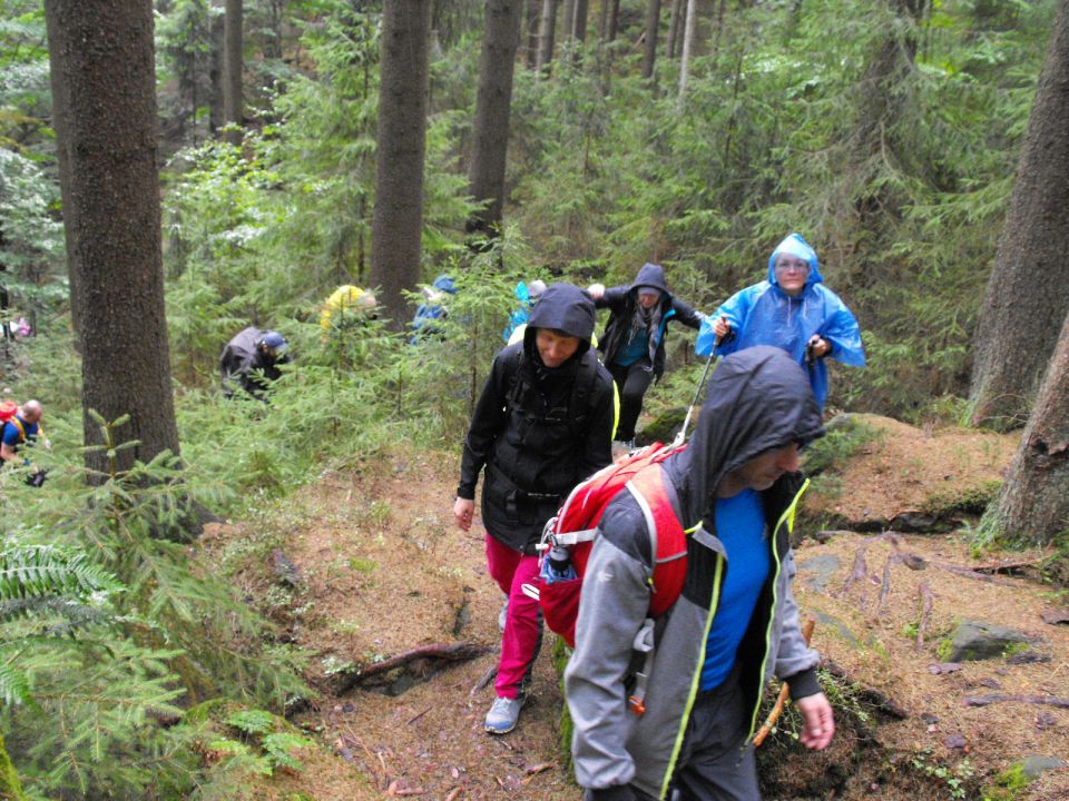 Wycieczka w Góry Stołowe s003 - PTTK Strzelin