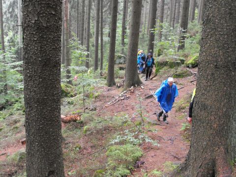 Wycieczka w Góry Stołowe s26 - PTTK Strzelin