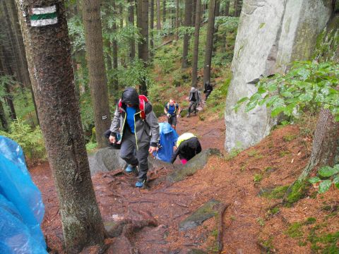 Wycieczka w Góry Stołowe s27 - PTTK Strzelin