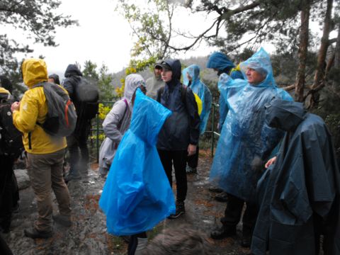 Wycieczka w Góry Stołowe s42 - PTTK Strzelin