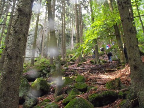 Wycieczka w Góry Stołowe s63 - PTTK Strzelin