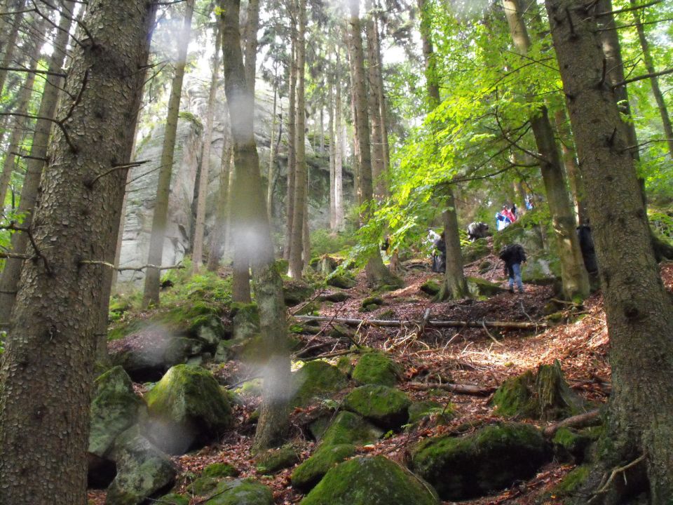 Wycieczka w Góry Stołowe s003 - PTTK Strzelin