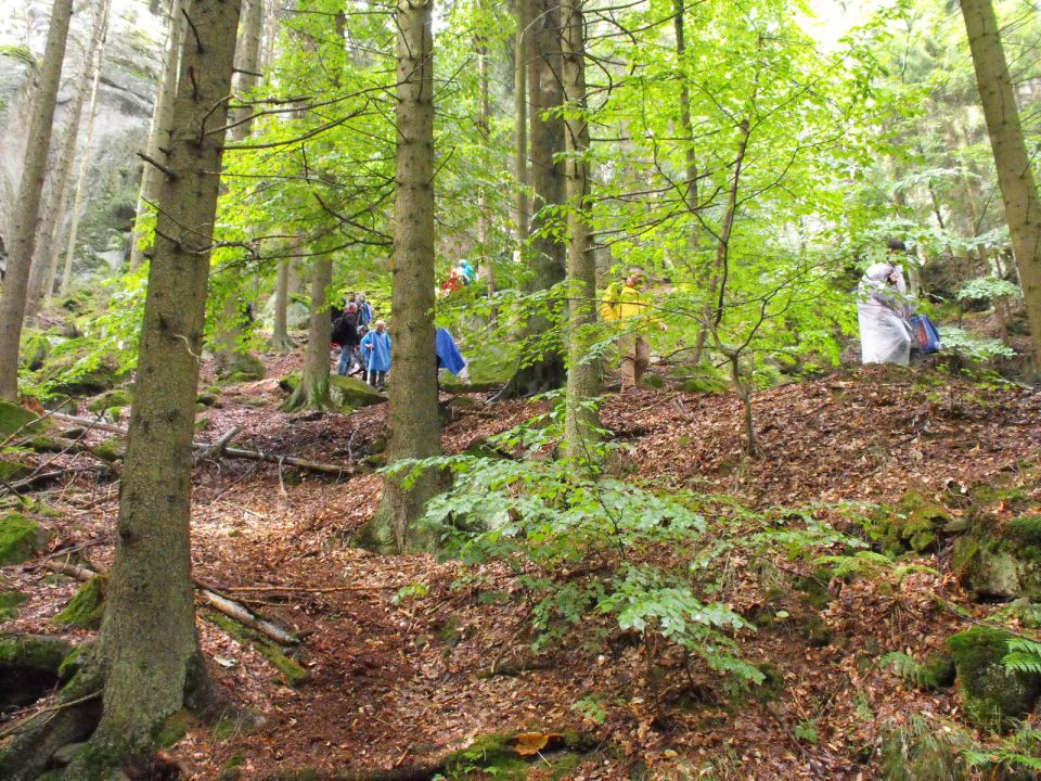 Wycieczka w Góry Stołowe s003 - PTTK Strzelin