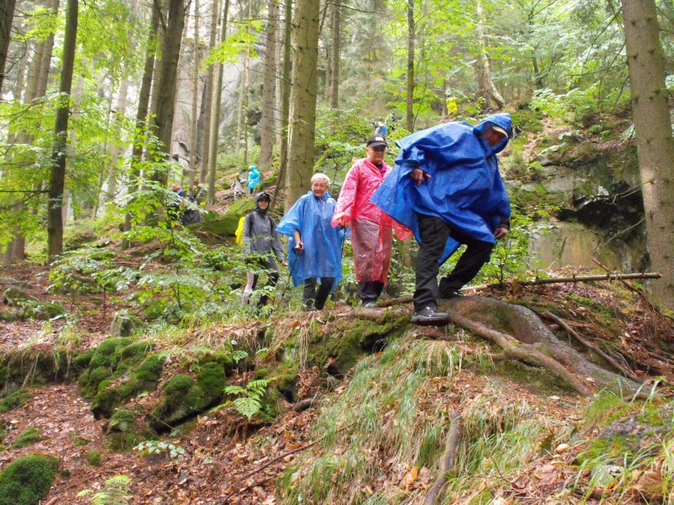 Wycieczka w Góry Stołowe s003 - PTTK Strzelin