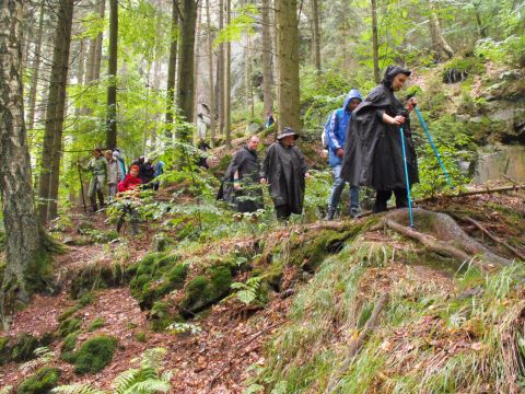 Wycieczka w Góry Stołowe s66 - PTTK Strzelin