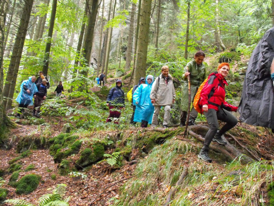 Wycieczka w Góry Stołowe s003 - PTTK Strzelin