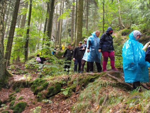 Wycieczka w Góry Stołowe s68 - PTTK Strzelin