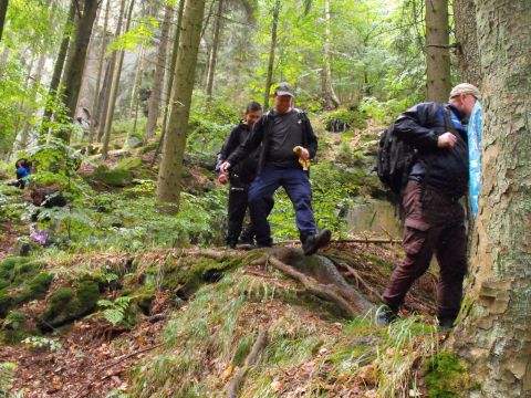 Wycieczka w Góry Stołowe s69 - PTTK Strzelin
