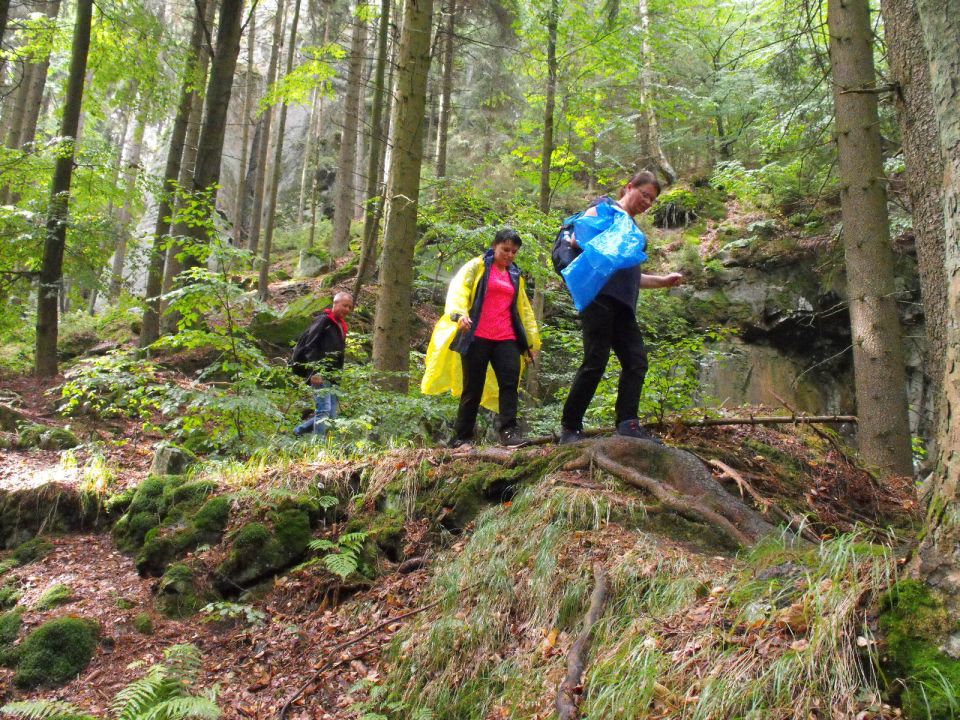 Wycieczka w Góry Stołowe s003 - PTTK Strzelin
