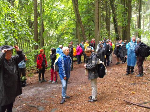 Wycieczka w Góry Stołowe s71 - PTTK Strzelin
