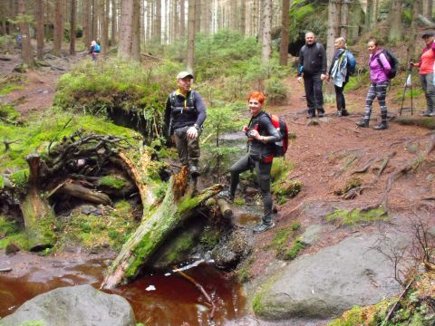 Wycieczka w Góry Stołowe s80 - PTTK Strzelin