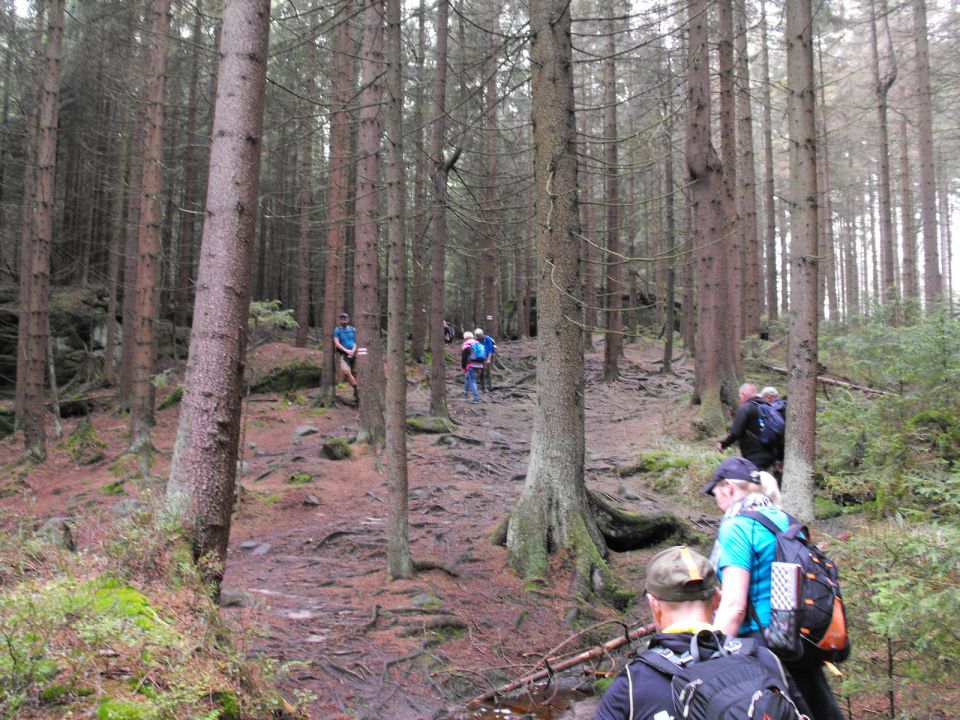 Wycieczka w Góry Stołowe s003 - PTTK Strzelin