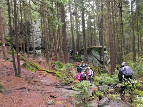 Wycieczka w Góry Stołowe s82 - PTTK Strzelin