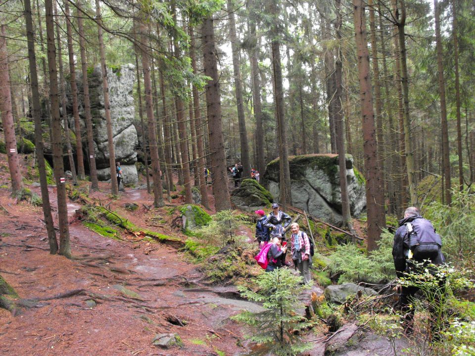 Wycieczka w Góry Stołowe s003 - PTTK Strzelin