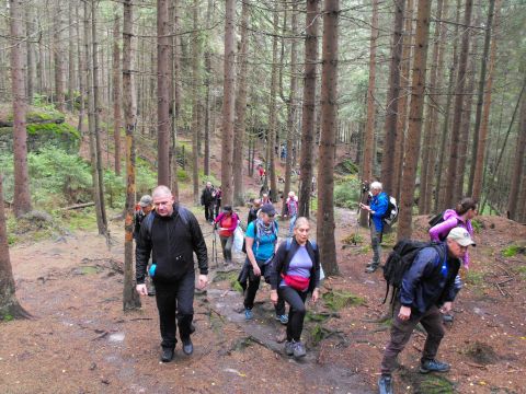 Wycieczka w Góry Stołowe s83 - PTTK Strzelin