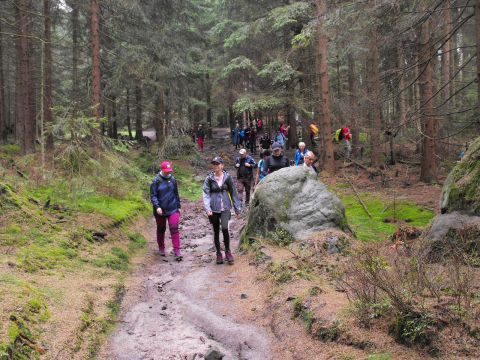Wycieczka w Góry Stołowe s88 - PTTK Strzelin