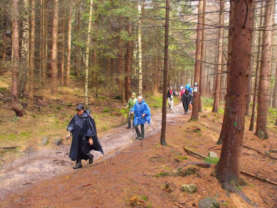 Wycieczka w Góry Stołowe s003 - PTTK Strzelin