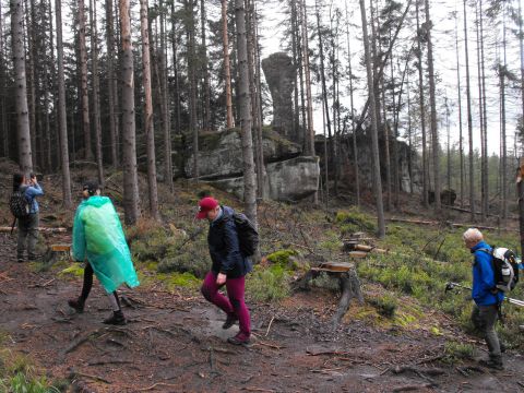 Wycieczka w Góry Stołowe s107 - PTTK Strzelin