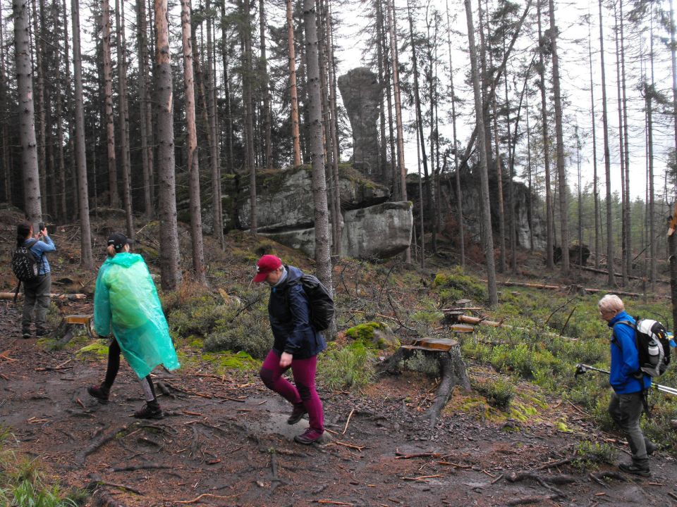 Wycieczka w Góry Stołowe s003 - PTTK Strzelin