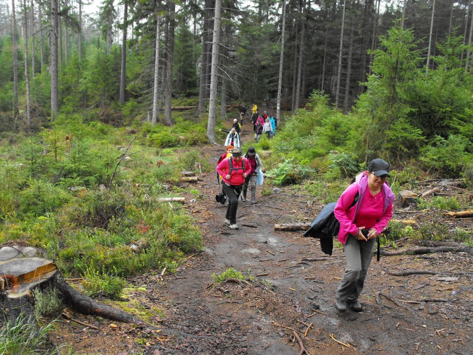 Wycieczka w Góry Stołowe s003 - PTTK Strzelin