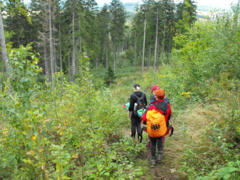 Wycieczka w Góry Stołowe s113 - PTTK Strzelin