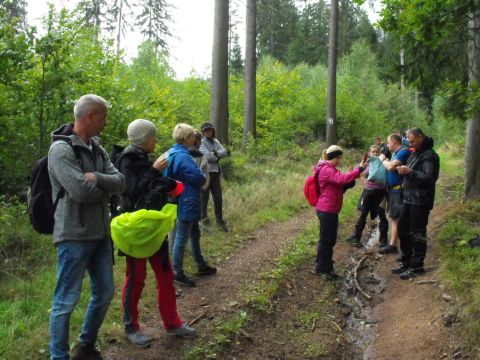 Wycieczka w Góry Stołowe s117 - PTTK Strzelin