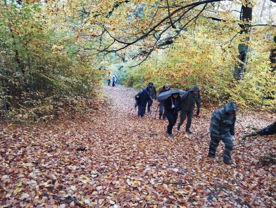 Wycieczka w Góry Stołowe s003 - PTTK Strzelin