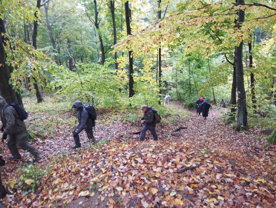 Wycieczka w Góry Stołowe s003 - PTTK Strzelin
