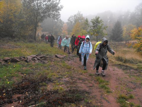 Wycieczka w Góry Stołowe s16 - PTTK Strzelin