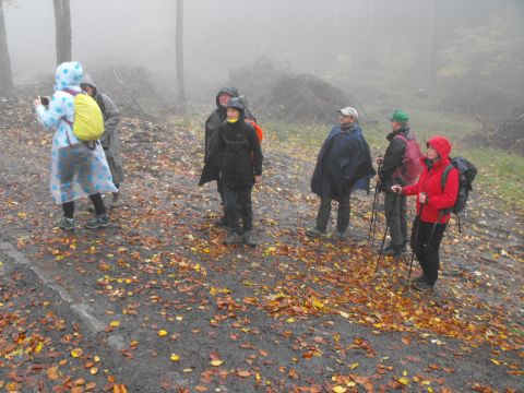 Wycieczka w Góry Stołowe s18 - PTTK Strzelin