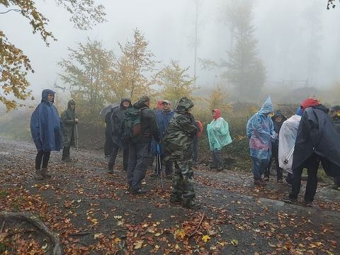 Wycieczka w Góry Stołowe s20 - PTTK Strzelin
