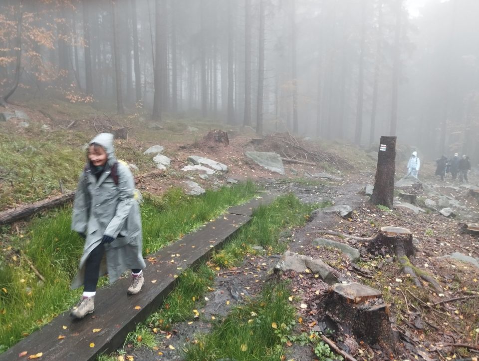 Wycieczka w Góry Stołowe s003 - PTTK Strzelin