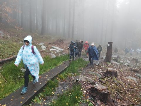 Wycieczka w Góry Stołowe s24 - PTTK Strzelin