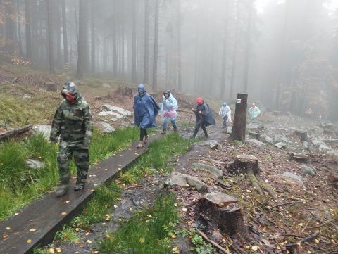 Wycieczka w Góry Stołowe s27 - PTTK Strzelin