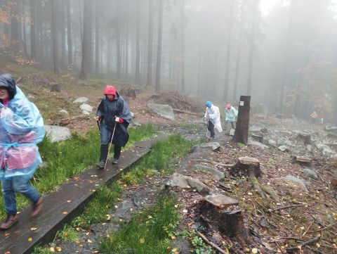 Wycieczka w Góry Stołowe s28 - PTTK Strzelin