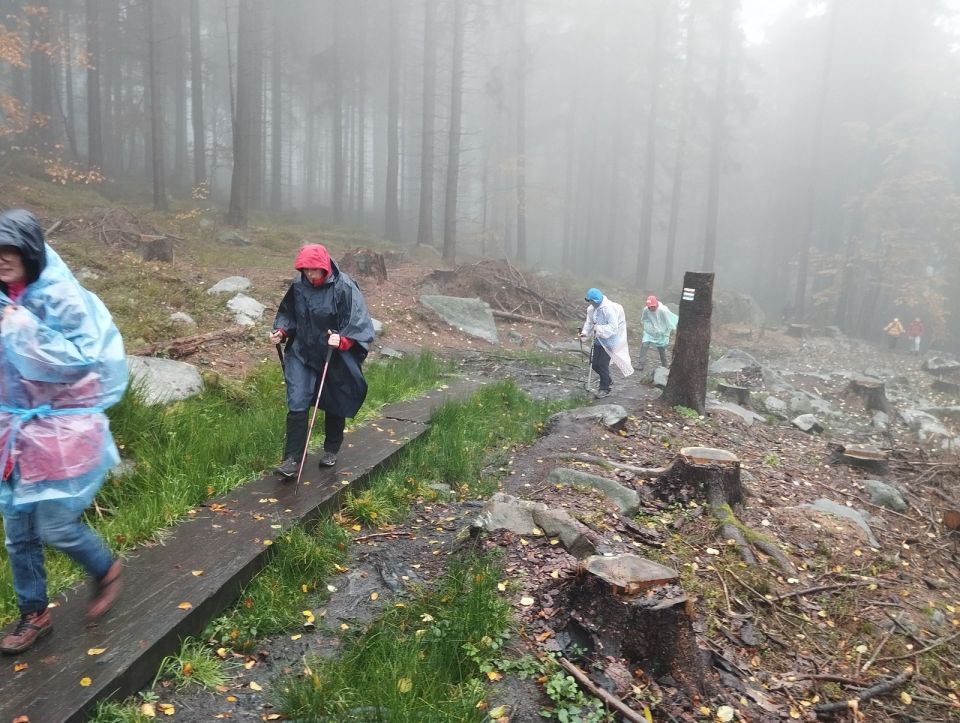 Wycieczka w Góry Stołowe s003 - PTTK Strzelin