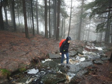 Wycieczka w Góry Stołowe s29 - PTTK Strzelin