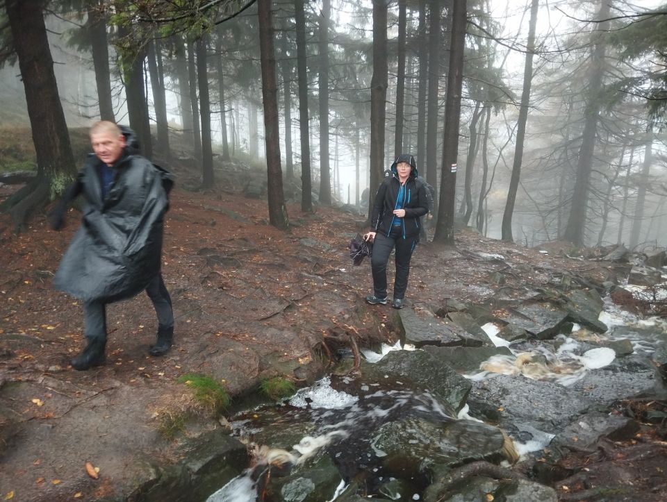 Wycieczka w Góry Stołowe s003 - PTTK Strzelin