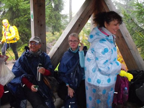 Wycieczka w Góry Stołowe s31 - PTTK Strzelin