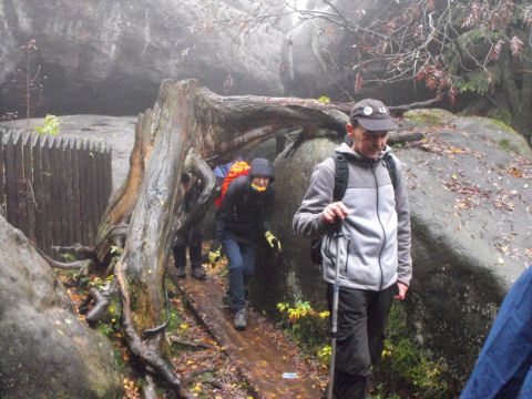 Wycieczka w Góry Stołowe s66 - PTTK Strzelin