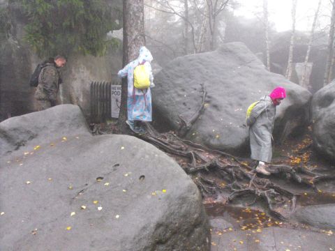 Wycieczka w Góry Stołowe s70 - PTTK Strzelin