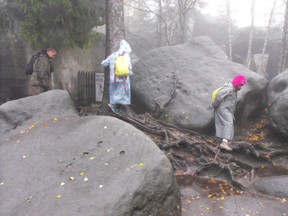 Wycieczka w Góry Stołowe s003 - PTTK Strzelin