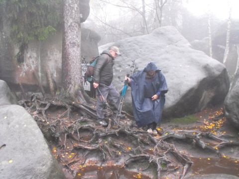 Wycieczka w Góry Stołowe s74 - PTTK Strzelin