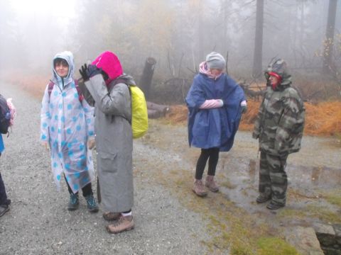 Wycieczka w Góry Stołowe s83 - PTTK Strzelin