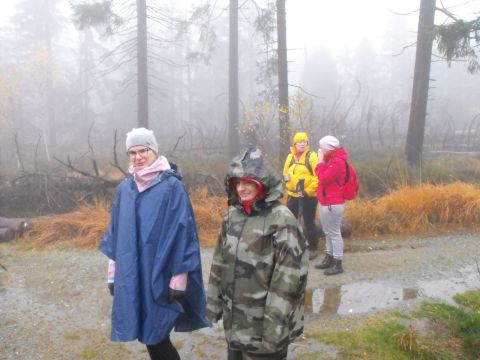 Wycieczka w Góry Stołowe s84 - PTTK Strzelin