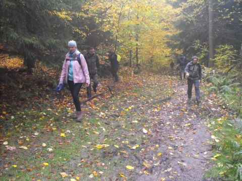 Wycieczka w Góry Stołowe s87 - PTTK Strzelin